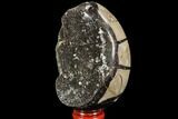 Septarian Dragon Egg Geode - Black Crystals #109967-3